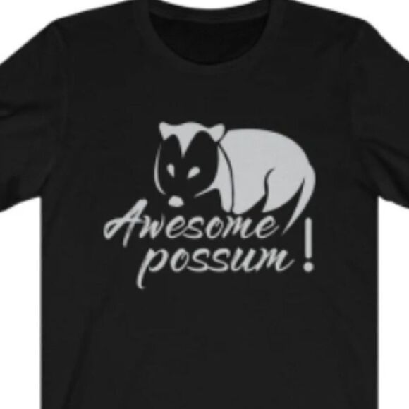 Awesome Possum  - Picture 1 of 1